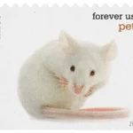 Pets Celebrate Animals 2016 13 - USPS Forever Stamps image 4 16 - USPS Forever Stamps