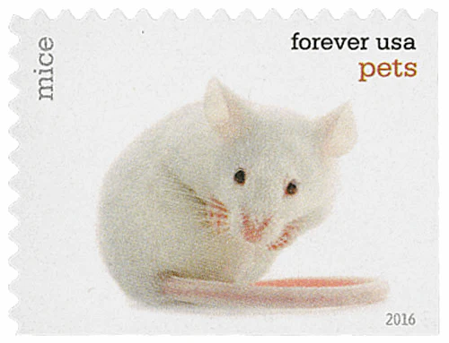 image-4-_16 image 4 16 - USPS Forever Stamps