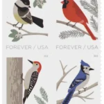 Birds in Winter 2018 2 - USPS Forever Stamps image 5 51c74feb 2061 4405 8c7e 45ee0d907f59 1 - USPS Forever Stamps