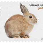 Pets Celebrate Animals 2016 12 - USPS Forever Stamps image 5 15 - USPS Forever Stamps