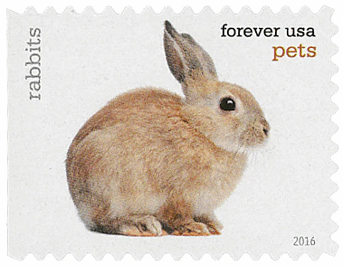 image-5-_15 image 5 15 - USPS Forever Stamps