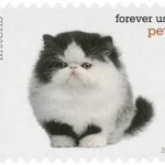 Pets Celebrate Animals 2016 11 - USPS Forever Stamps image 6 14 - USPS Forever Stamps
