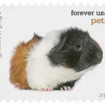 Pets Celebrate Animals 2016 10 - USPS Forever Stamps image 7 13 - USPS Forever Stamps