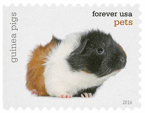 image-7-_13 image 7 13 - USPS Forever Stamps