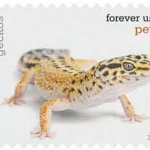 Pets Celebrate Animals 2016 8 - USPS Forever Stamps image 9 11 - USPS Forever Stamps