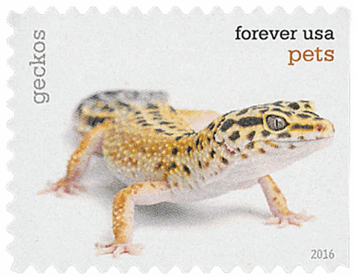 image-9-_11 image 9 11 - USPS Forever Stamps
