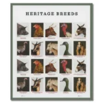 Heritage Breeds 2021 2 - USPS Forever Stamps lg 1194924 - USPS Forever Stamps