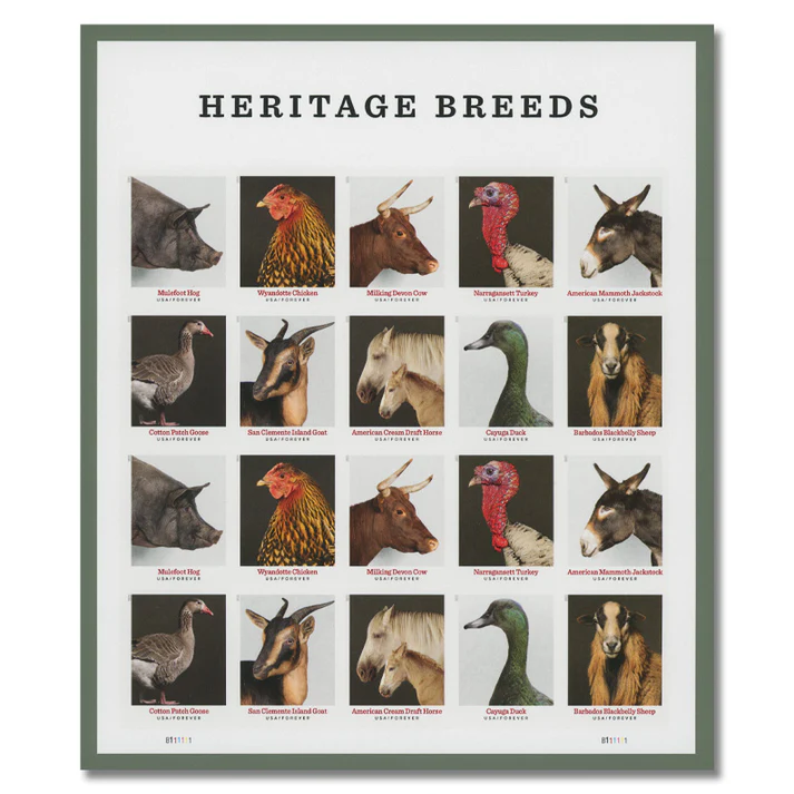 Heritage Breeds 2021 1 - USPS Forever Stamps Heritage Breeds 2021