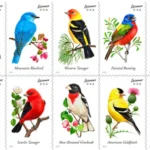 Songbird 2014 4 - USPS Forever Stamps pr14 023 - USPS Forever Stamps
