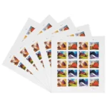 Barn Postcard 2021 3 - USPS Forever Stamps 81WaKiYY4pL - USPS Forever Stamps