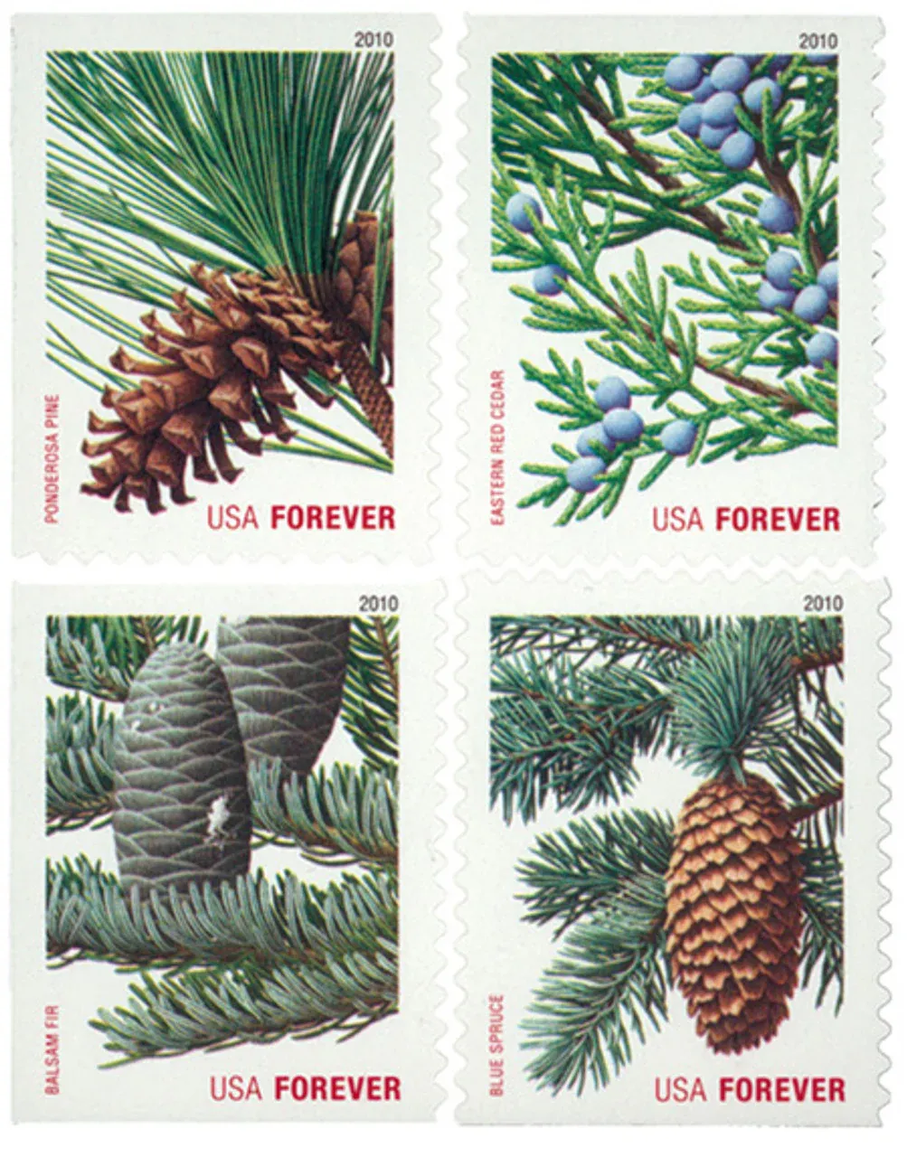 Holiday Daily Green Trees 2009 1 - USPS Forever Stamps Holiday Daily Green Trees 2009