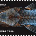 Life Magnified 2023 8 - USPS Forever Stamps USPS23STA030C 800x508 1 - USPS Forever Stamps