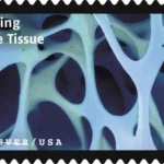 Life Magnified 2023 7 - USPS Forever Stamps USPS23STA030D 800x508 1 - USPS Forever Stamps