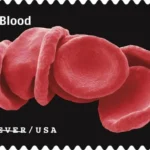 Life Magnified 2023 6 - USPS Forever Stamps USPS23STA030E 800x508 1 - USPS Forever Stamps