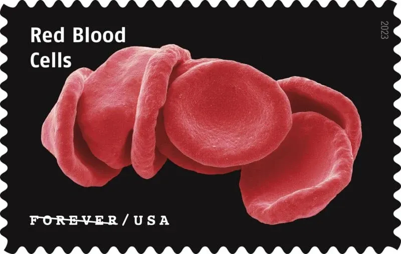 USPS23STA030E-800x508 USPS23STA030E 800x508 1 - USPS Forever Stamps