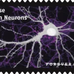 Life Magnified 2023 5 - USPS Forever Stamps USPS23STA030H 800x508 1 - USPS Forever Stamps