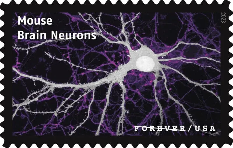 USPS23STA030H-800x508 USPS23STA030H 800x508 1 - USPS Forever Stamps