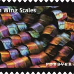 Life Magnified 2023 4 - USPS Forever Stamps USPS23STA030I 800x508 1 - USPS Forever Stamps