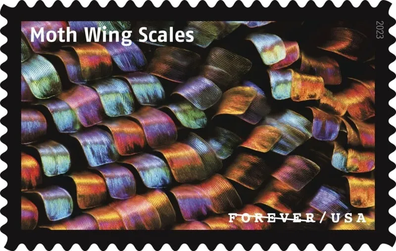 USPS23STA030I-800x508 USPS23STA030I 800x508 1 - USPS Forever Stamps