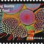 Life Magnified 2023 3 - USPS Forever Stamps USPS23STA030R 800x508 1 - USPS Forever Stamps