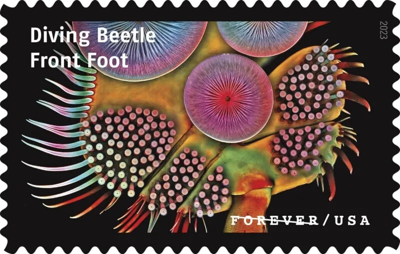 USPS23STA030R-800x508 USPS23STA030R 800x508 1 - USPS Forever Stamps