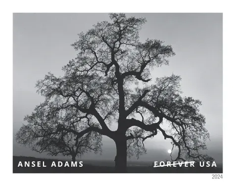 jxLFHGnE2hmhkxen8D7Hd5vaNIkUyqMkztvDw4gF - USPS Forever Stamps