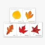 2025 Vibrant Leavea Postcard Forever First Class Postage Stamps 3 - USPS Forever Stamps imgi 103 24 - USPS Forever Stamps