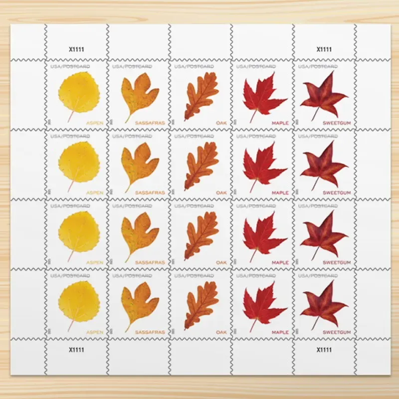 2025 Vibrant Leavea Postcard Forever First Class Postage Stamps 1 - USPS Forever Stamps 2025 Vibrant Leavea Postcard Forever First Class Postage Stamps